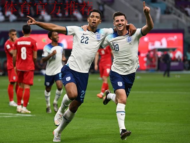 英格兰球迷抗议世界杯高票价致信英足总 英格兰球迷抗议世界杯高票价致信英足总